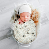 Roarie - Pack of Two's