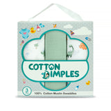 Dino Drums - Pack of Three's