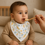 Veggies on the go - Bandana Bibs