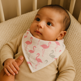 Flamingo - Bandana Bibs
