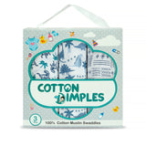 Dino Tribe - Pack of Three's