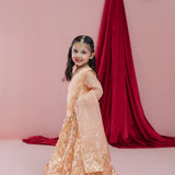 Mehrunisa - 3 Pc Set