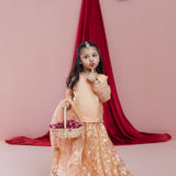 Mehrunisa - 3 Pc Set