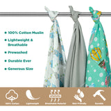 Dream World - Pack of Three's