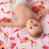 Humming Bird - Pack of Three's