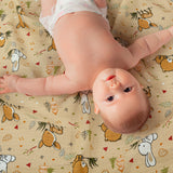 Into The Jungle - Pack of Four's