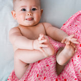 Humming Bird - Pack of Three's