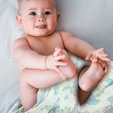 Dream World - Pack of Three's