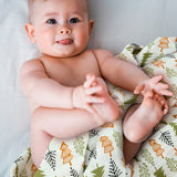 Into The Jungle - Pack of Four's